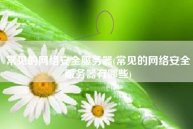 常见的网络安全服务器(常见的网络安全服务器有哪些)