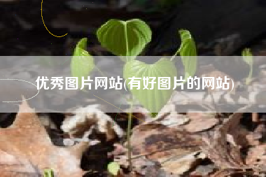 优秀图片网站(有好图片的网站)