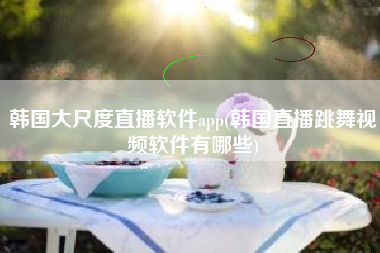 韩国大尺度直播软件app(韩国直播跳舞视频软件有哪些)