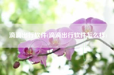 滴滴出行软件(滴滴出行软件怎么样)