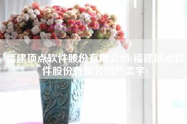 福建顶点软件股份有限公司(福建顶点软件股份有限公司严孟宇)