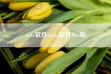 state软件(state软件Mac版)