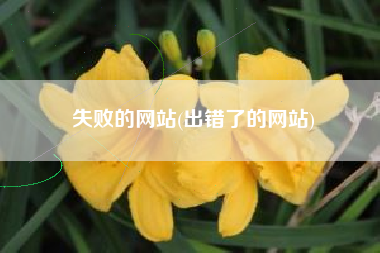 失败的网站(出错了的网站)