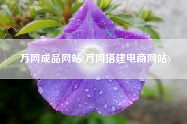万网成品网站(万网搭建电商网站)