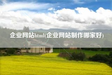 企业网站html(企业网站制作哪家好)