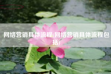 网络营销具体流程(网络营销具体流程包括)