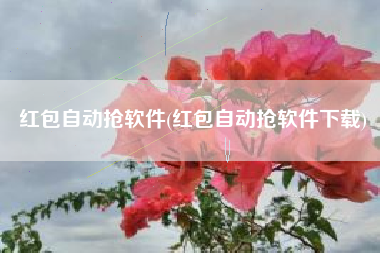 红包自动抢软件(红包自动抢软件下载)