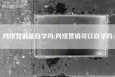 网络营销能自学吗(网络营销可以自学吗)