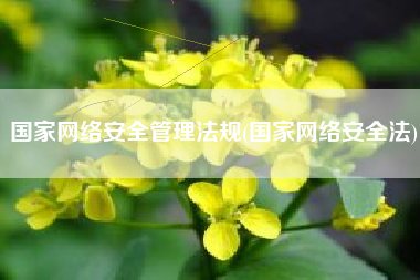 国家网络安全管理法规(国家网络安全法)