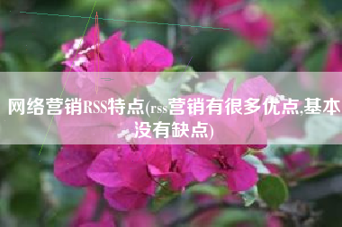 网络营销RSS特点(rss营销有很多优点,基本没有缺点)