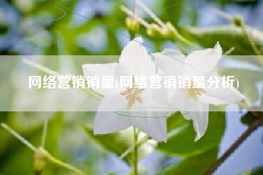 网络营销销量(网络营销销量分析)