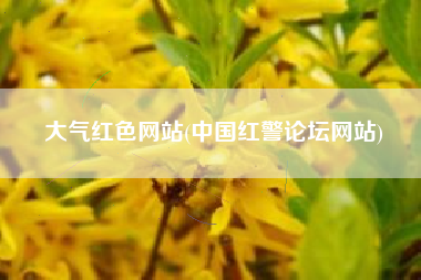 大气红色网站(中国红警论坛网站)