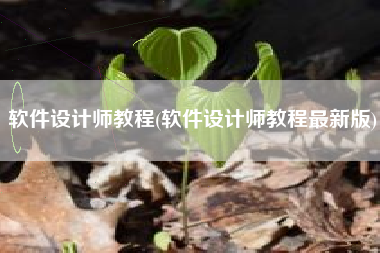 软件设计师教程(软件设计师教程最新版)