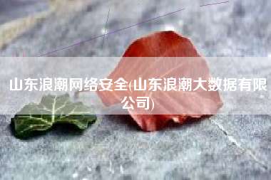 山东浪潮网络安全(山东浪潮大数据有限公司)