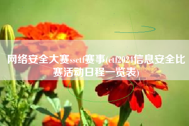 网络安全大赛ssctf赛事(ctf2024信息安全比赛活动日程一览表)