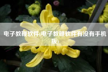 电子教鞭软件(电子教鞭软件有没有手机版)