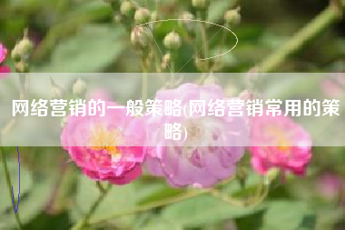 网络营销的一般策略(网络营销常用的策略)