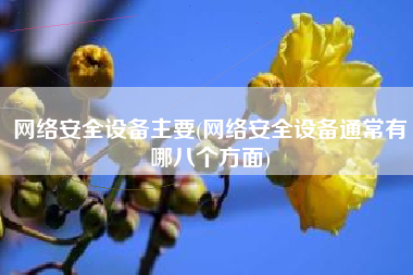 网络安全设备主要(网络安全设备通常有哪八个方面)