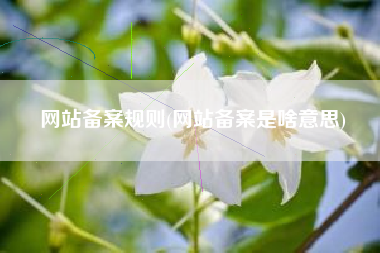 网站备案规则(网站备案是啥意思)