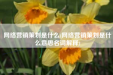 网络营销策划是什么(网络营销策划是什么意思名词解释)