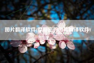 图片翻译软件(摩斯密码图片翻译软件)