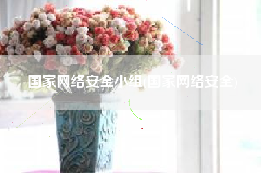国家网络安全小组(国家网络安全)