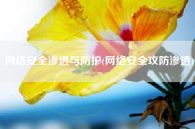 网络安全渗透与防护(网络安全攻防渗透)