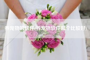 养宠物的软件(养宠物软件哪个比较好)