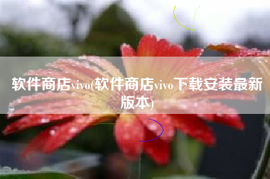 软件商店vivo(软件商店vivo下载安装最新版本)