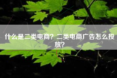 什么是二类电商？二类电商广告怎么投放？