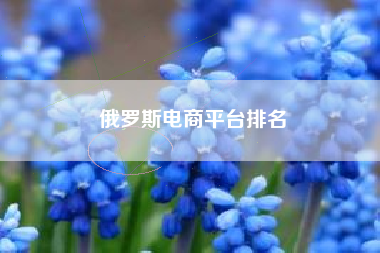 俄罗斯电商平台排名