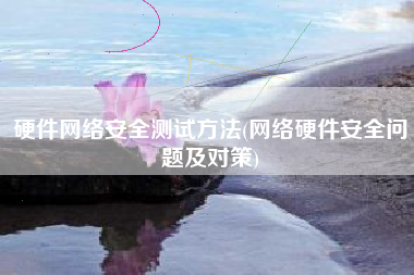 硬件网络安全测试方法(网络硬件安全问题及对策)