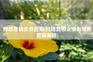 网络营销企业回报(网络营销企业有哪些营销策略)