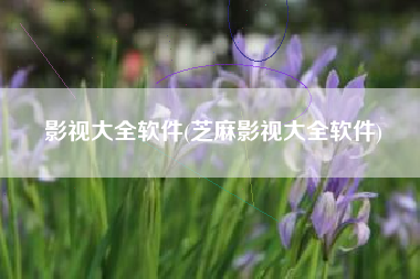影视大全软件(芝麻影视大全软件)