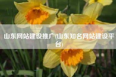 山东网站建设推广(山东知名网站建设平台)