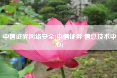 中信证券网络安全(中信证券 信息技术中心)