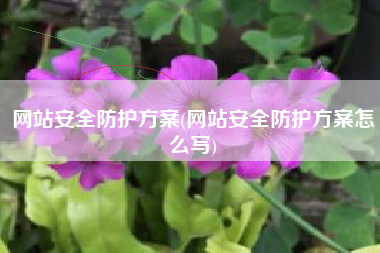 网站安全防护方案(网站安全防护方案怎么写)