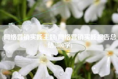 网络营销实践主题(网络营销实践报告总结3000字)