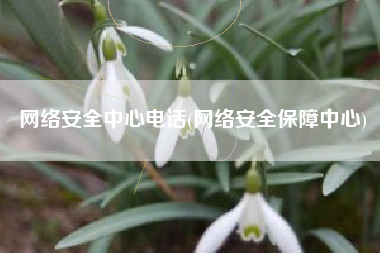 网络安全中心电话(网络安全保障中心)