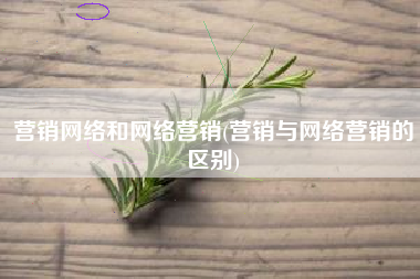 营销网络和网络营销(营销与网络营销的区别)
