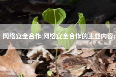 网络安全合作(网络安全合作的主要内容)
