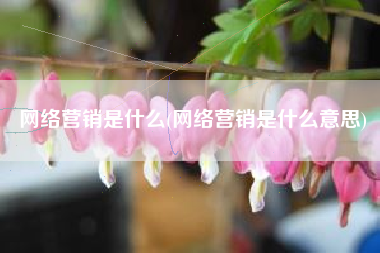 网络营销是什么(网络营销是什么意思)