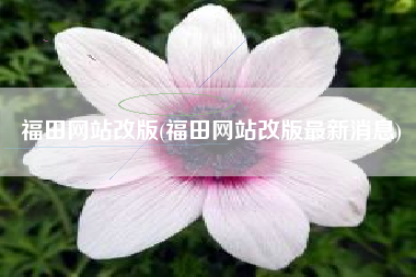 福田网站改版(福田网站改版最新消息)