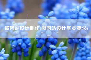 微网站设计制作(微网站设计基本要求)
