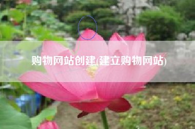 购物网站创建(建立购物网站)