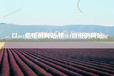 以net结尾的网站(带net后缀的网站)