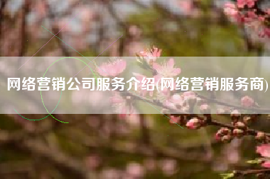 网络营销公司服务介绍(网络营销服务商)