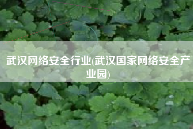 武汉网络安全行业(武汉国家网络安全产业园)