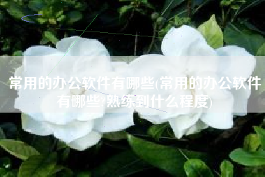 常用的办公软件有哪些(常用的办公软件有哪些?熟练到什么程度)