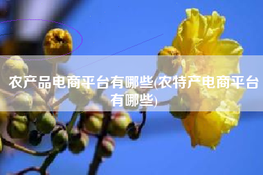 农产品电商平台有哪些(农特产电商平台有哪些)